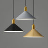 Modern Iron Pendant Light with Adjustable Hanging Length for Contemporary Home Decor