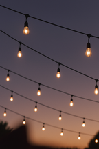 Outdoor Cable Lamp Holder (10m–25m)