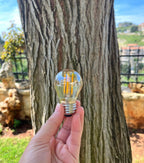G45 Amber Bulb - 6W